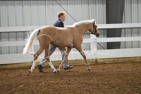 HSM_3832