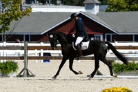 HSM_4805