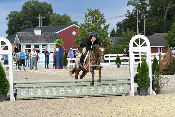 HSM_7859