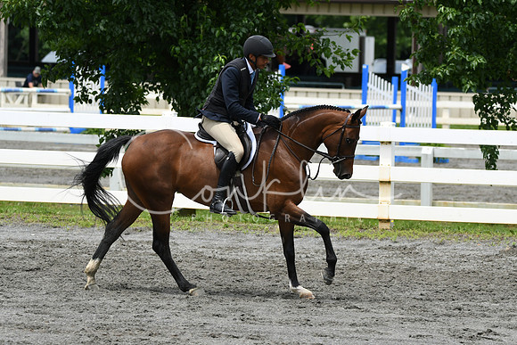 HSM_4179