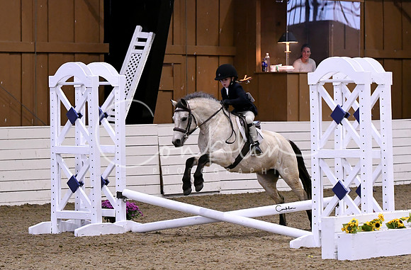 HSM_2511-1