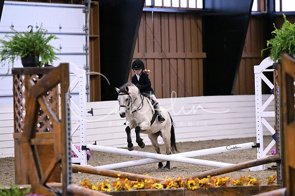HSM_2510-1