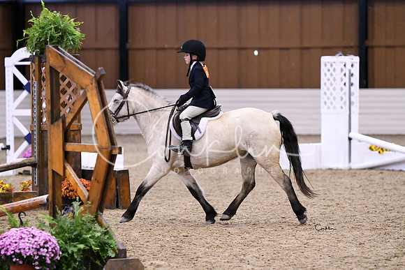 HSM_2516-1