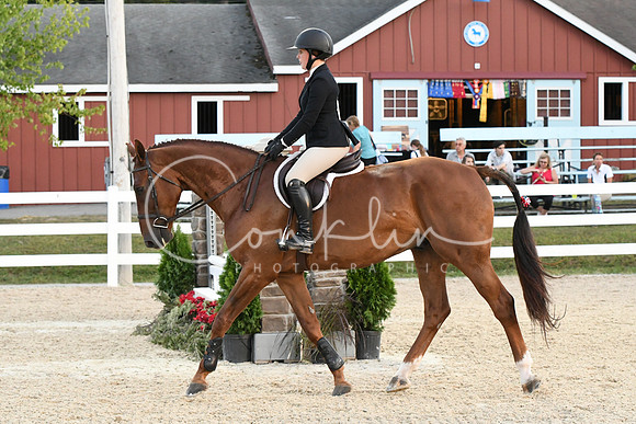HSM_0384