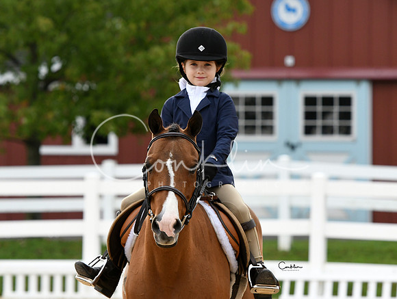 HSM_4607-1