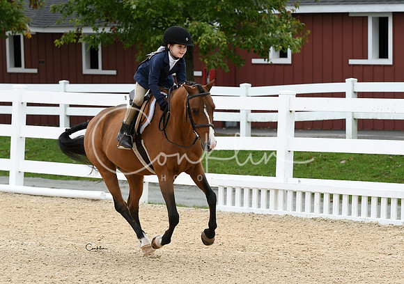 HSM_4581-1