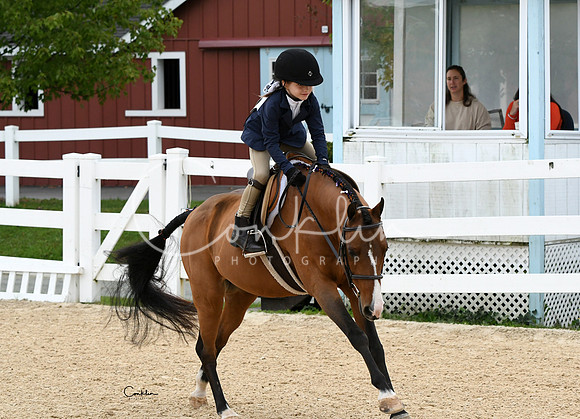 HSM_4582-1