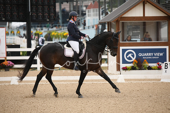 BW241015