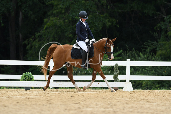 HSM_0185