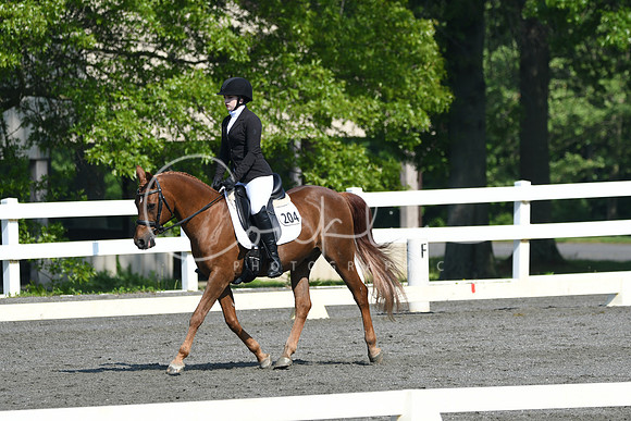 HSM_1100