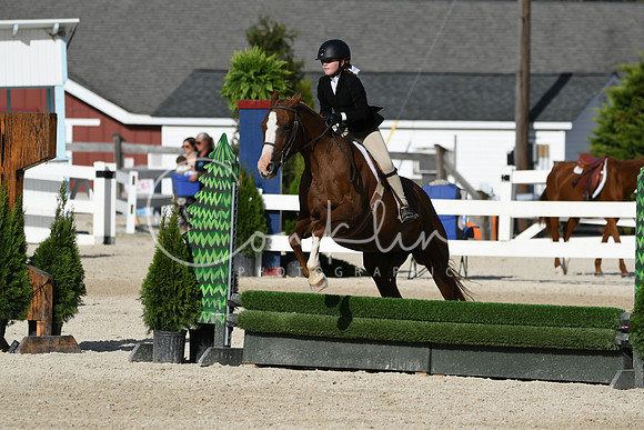 HSM_4217