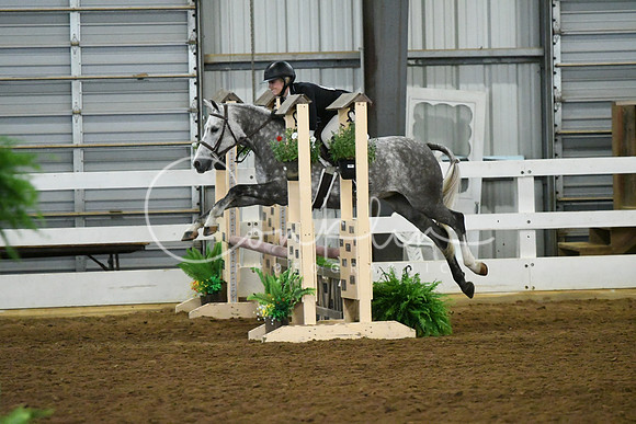 HSM_5458