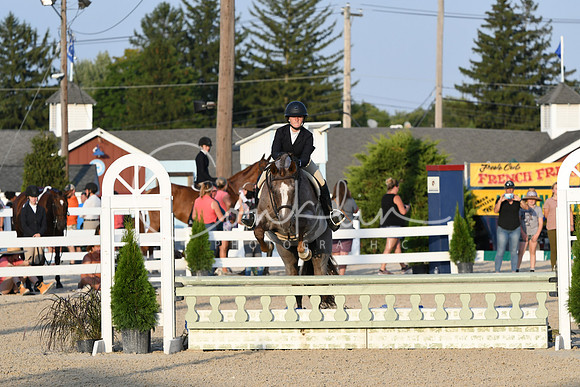 HSM_0239