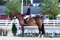 HSM_0471