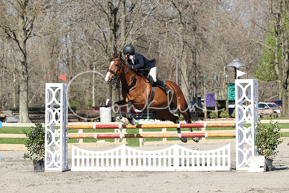 1DX33507