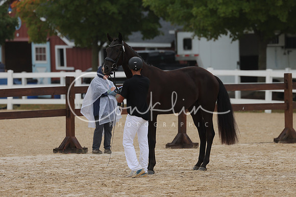 HLK_3219