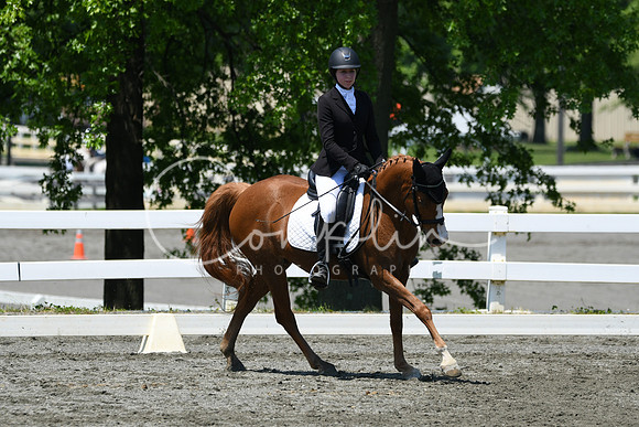 HSM_1567