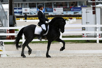 HSM_0172