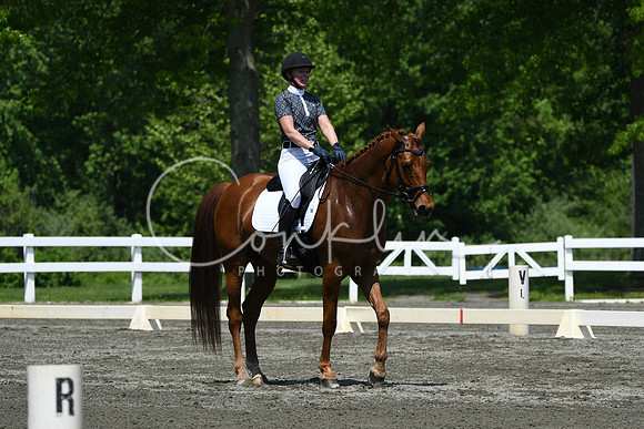 HSM_2079