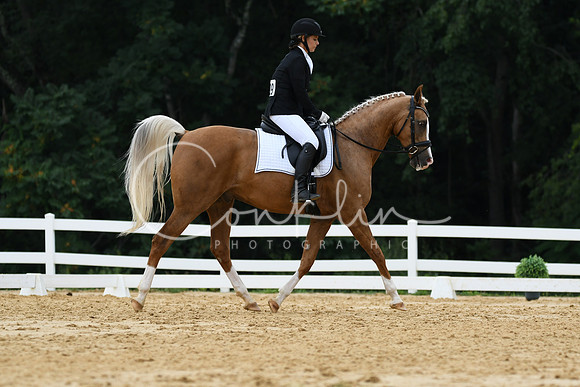 HSM_0256