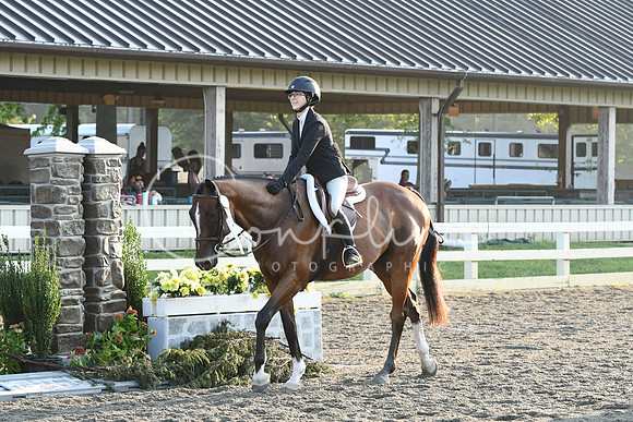 HSM_9198