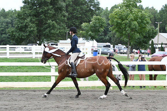 HSM_5527