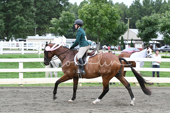 HSM_5529