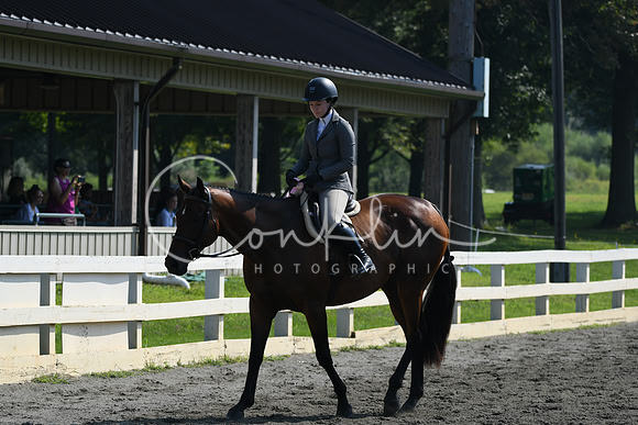 HSM_0155