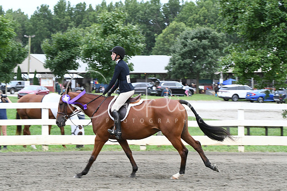 HSM_5537