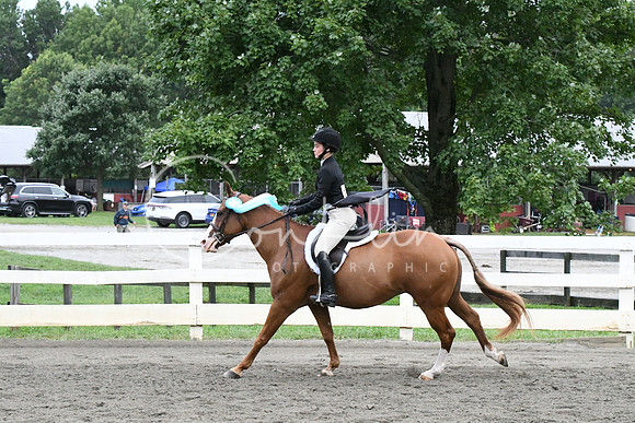 HSM_5546