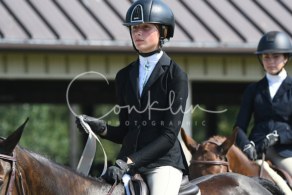 HSM_0207