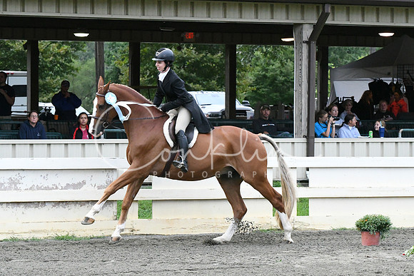HSM_5579