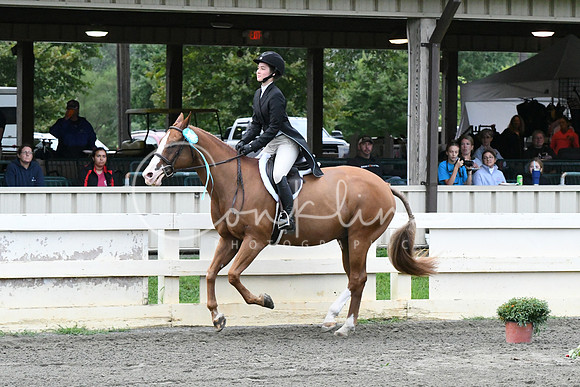 HSM_5582