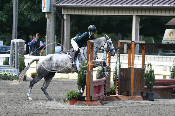 HSM_0768