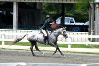 HSM_0771