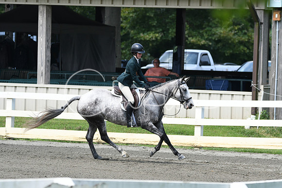 HSM_0771