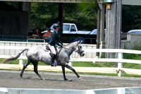 HSM_0772