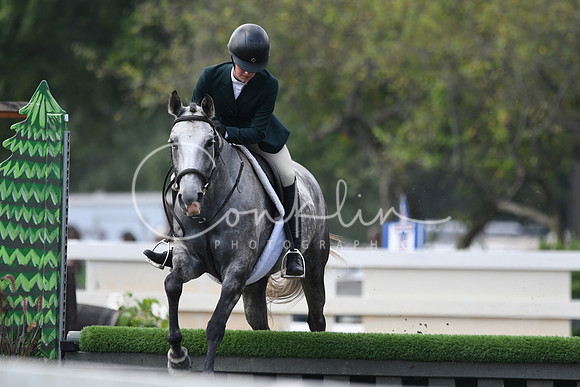 HSM_0798