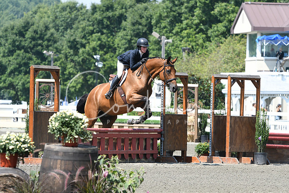 HSM_0448