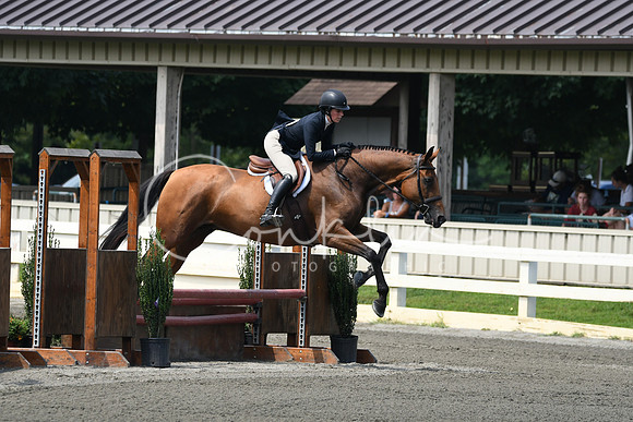 HSM_0762