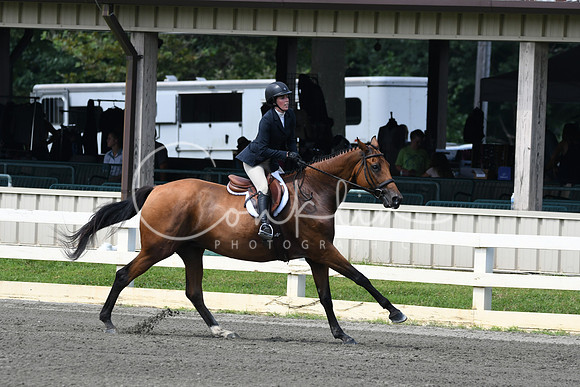 HSM_0764