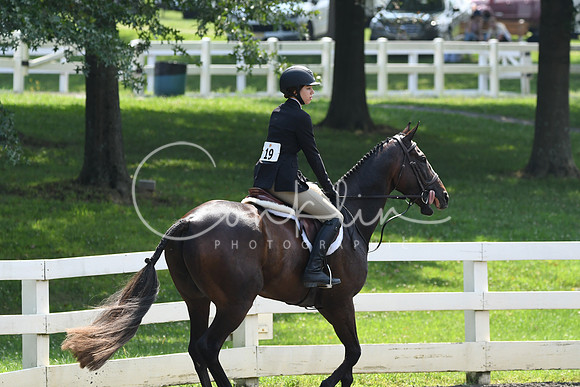 HSM_0560