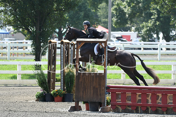 HSM_0561