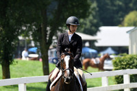 HSM_0587
