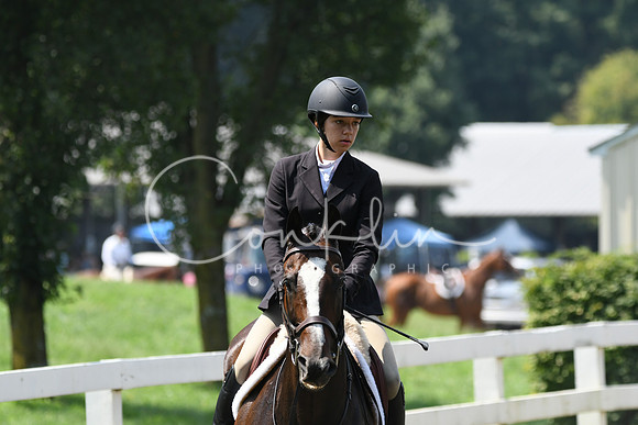 HSM_0587