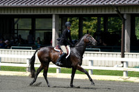 HSM_0593