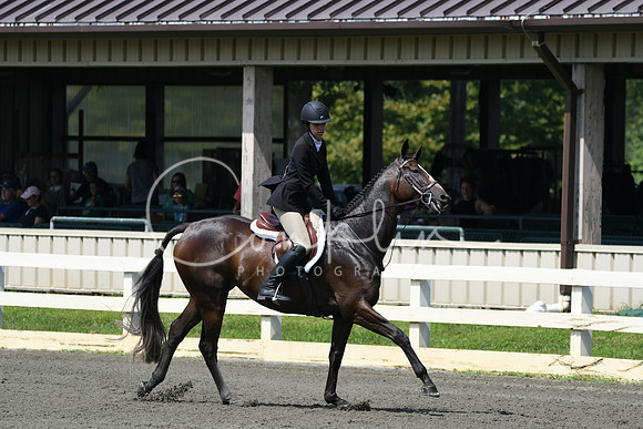 HSM_0593