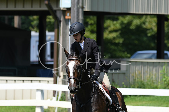 HSM_0594