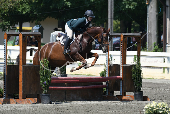 HSM_0504