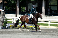 HSM_0507